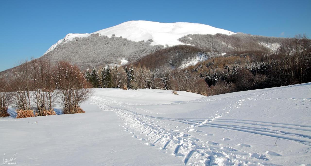 Antica Locanda Bonfiglio Busana Buitenkant foto